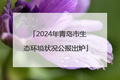 2024年青岛市生态环境状况公报出炉