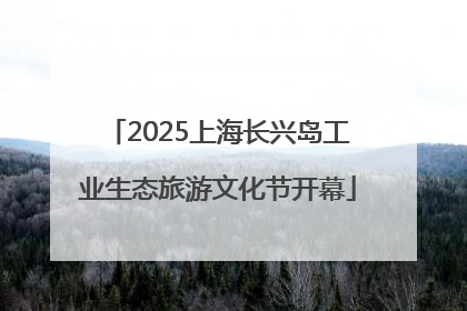 2025上海长兴岛工业生态旅游文化节开幕