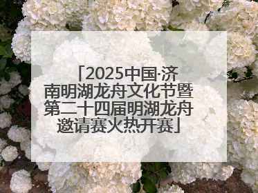 2025中国·济南明湖龙舟文化节暨第二十四届明湖龙舟邀请赛火热开赛