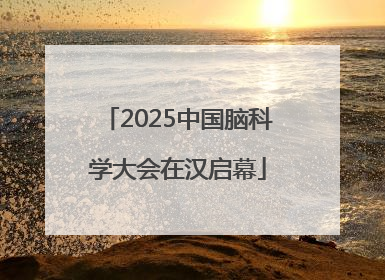 2025中国脑科学大会在汉启幕