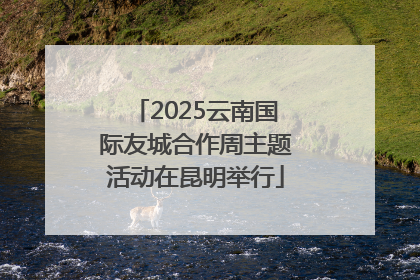 2025云南国际友城合作周主题活动在昆明举行
