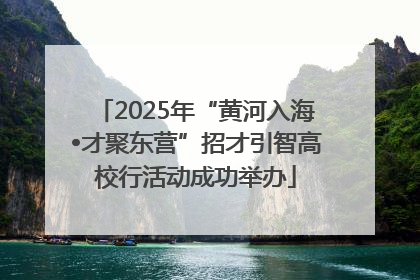 2025年“黄河入海•才聚东营”招才引智高校行活动成功举办