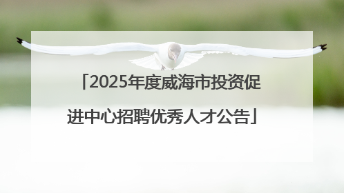 2025年度威海市投资促进中心招聘优秀人才公告