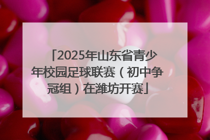 2025年山东省青少年校园足球联赛（初中争冠组）在潍坊开赛