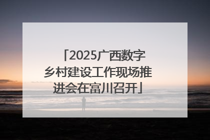 2025广西数字乡村建设工作现场推进会在富川召开