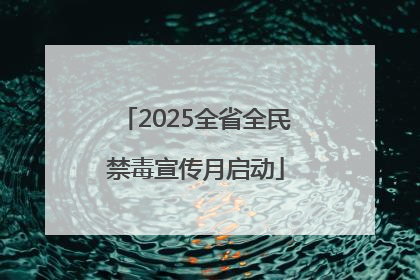 2025全省全民禁毒宣传月启动