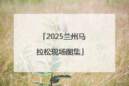 2025兰州马拉松现场图集
