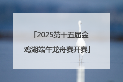 2025第十五届金鸡湖端午龙舟赛开赛