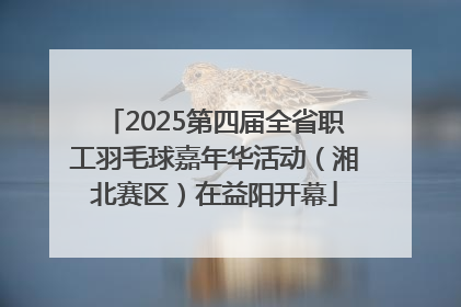 2025第四届全省职工羽毛球嘉年华活动（湘北赛区）在益阳开幕