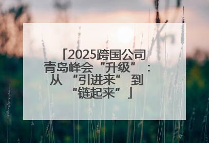 2025跨国公司青岛峰会“升级”：从 “引进来” 到 “链起来”