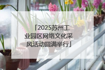 2025苏州工业园区网络文化采风活动圆满举行
