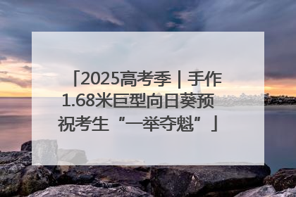 2025高考季｜手作1.68米巨型向日葵预祝考生“一举夺魁”