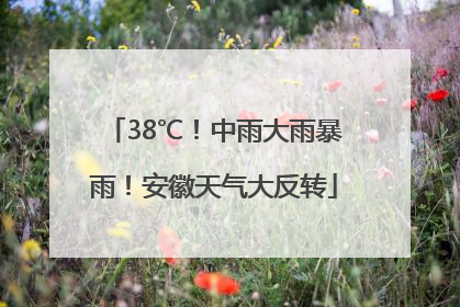 38℃!中雨大雨暴雨!安徽天气大反转