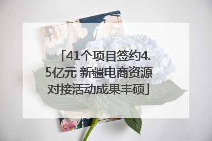 41个项目签约4.5亿元 新疆电商资源对接活动成果丰硕