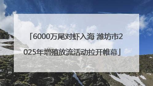 6000万尾对虾入海 潍坊市2025年增殖放流活动拉开帷幕