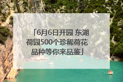 6月6日开园 东湖荷园500个珍稀荷花品种等你来品鉴