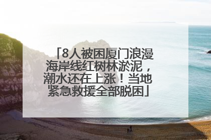 8人被困厦门浪漫海岸线红树林淤泥，潮水还在上涨！当地紧急救援全部脱困