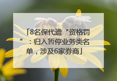 8名保代遭“资格罚”：归入暂停业务类名单，涉及6家券商