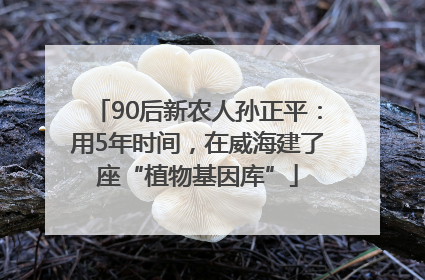90后新农人孙正平：用5年时间，在威海建了座“植物基因库”