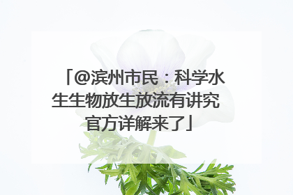 @滨州市民：科学水生生物放生放流有讲究 官方详解来了