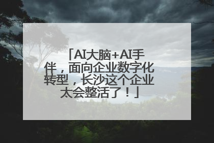AI大脑+AI手伴，面向企业数字化转型，长沙这个企业太会整活了！