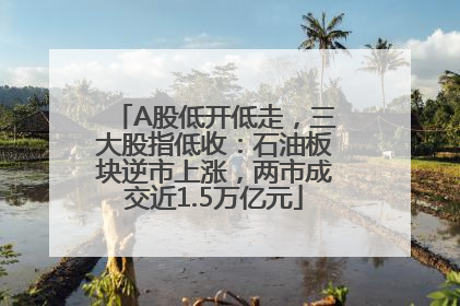 A股低开低走，三大股指低收：石油板块逆市上涨，两市成交近1.5万亿元