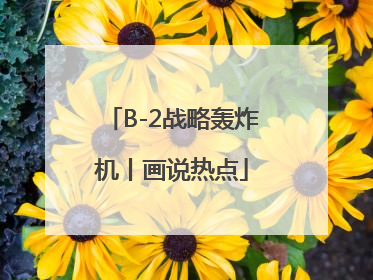 B-2战略轰炸机丨画说热点