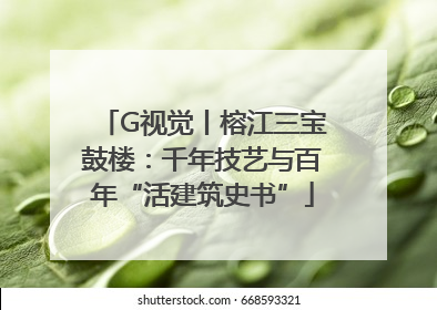 G视觉丨榕江三宝鼓楼：千年技艺与百年“活建筑史书”