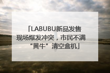 LABUBU新品发售现场爆发冲突，市民不满“黄牛”清空盒机