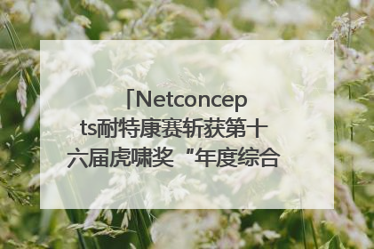 Netconcepts耐特康赛斩获第十六届虎啸奖“年度综合服务商”大奖